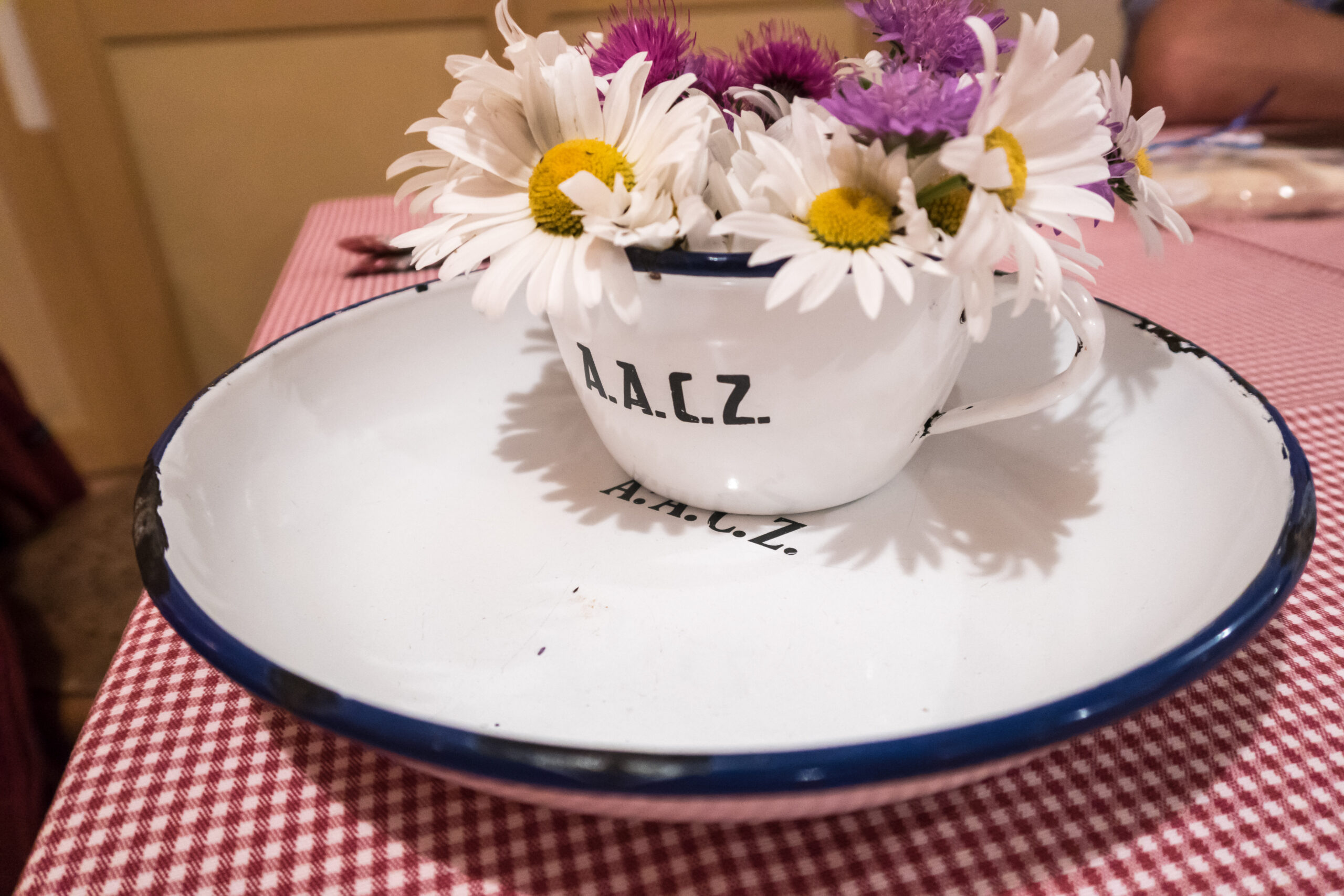 AACZ celebrates its 125th anniversary at the Stiftungsfest Maderanertal
